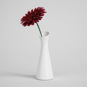 非洲菊、菊花、花瓶植物