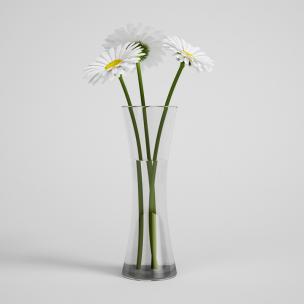 白色菊花、带水玻璃花瓶花卉