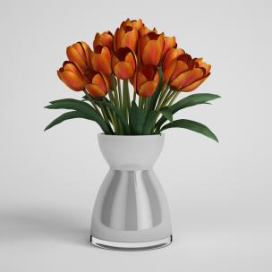 橙红色郁金香花瓶花卉