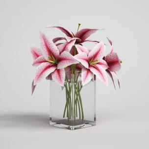 粉红百合花、有水玻璃花瓶花卉