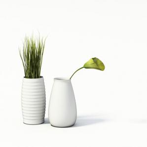虎皮兰状植物、白色花瓶