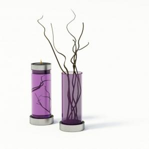 紫色玻璃花瓶、干枝植物