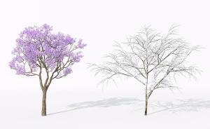 粉紫色花树、落雪干枝树 景观树木
