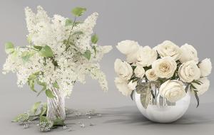 花毛茛、紫丁香花瓶花卉