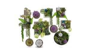 多肉植物、龟背竹、常春藤画框植物墙