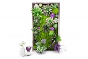 多肉植物、绣球花、龟背竹画框植物墙