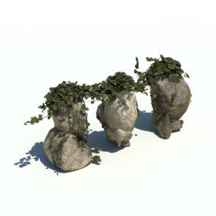 石头上形似爱之蔓的花草绿植
