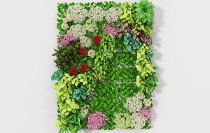 玫瑰花、绣球花和冷水花的长方形植物墙