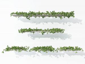 木板木梁藤蔓植物
