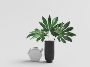 现代白色几何水壶、黑色花瓶花卉