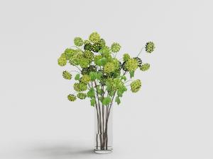 透明玻璃柱形花瓶花卉植物