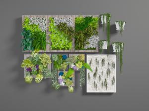长方形实木边框的植物墙、藤蔓盆栽植物