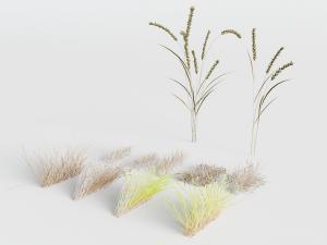 几处花草植物