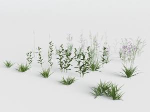 花草绿植