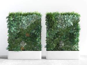 重在花池中的植物墙