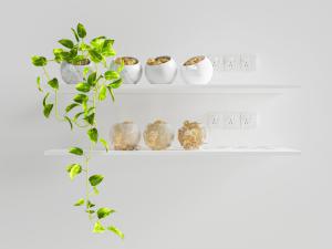 现代置物架上的盆栽藤蔓植物