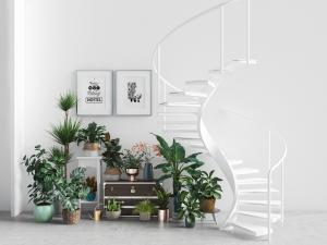 北欧白色旋转楼梯、盆栽植物