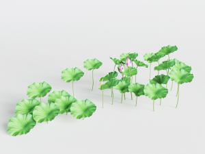 荷花植物