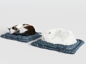 趴在垫子上睡觉的猫