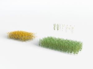 田地里的黄色绿色麦穗禾稼农作物