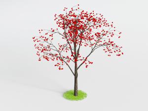 结满红色果实的果树