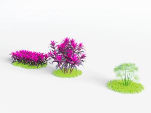 园林花草丛