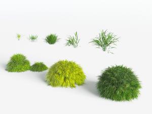 花草植物农作物丛