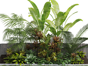庭院长满花坛里的植物景观小品