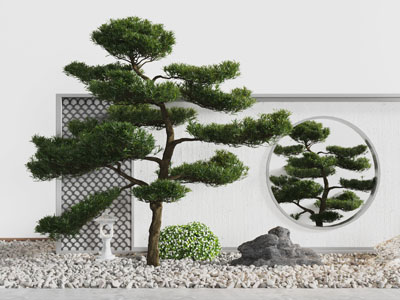 中式松树石头庭院景观园艺小品
