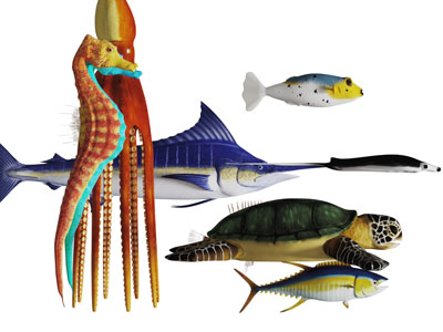 海洋生物章鱼海马海龟水生动物