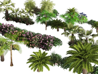 道旁花草灌木丛椰子树