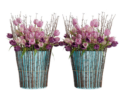 水桶花瓶郁金香花瓶花卉