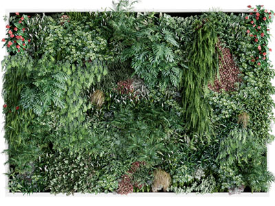 现代方形植物墙