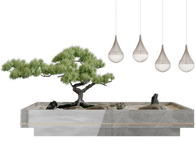 新中式花坛里的松树景观园艺小品