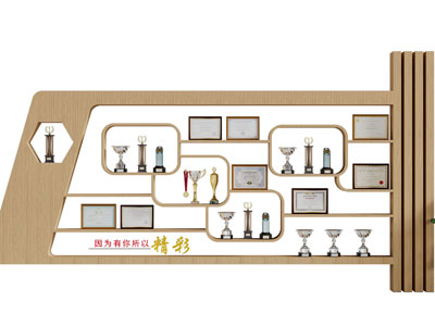 奖杯奖牌荣誉墙面展示架