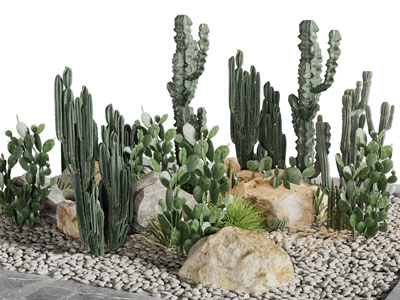 现代多肉植物景观园艺小品