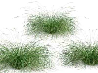 现代花草绿植