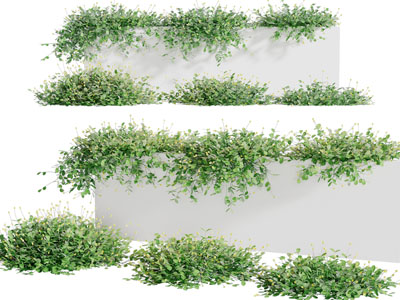 现代花草绿植