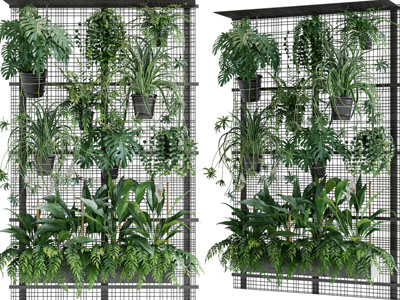 现代植物墙