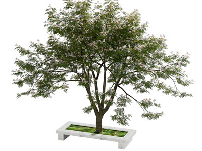 现代花坛花树