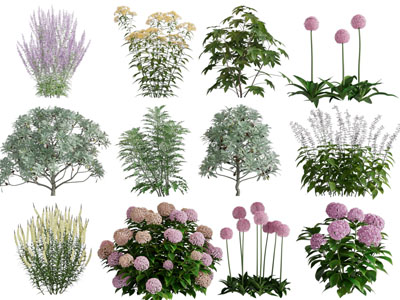 现代花草绿植