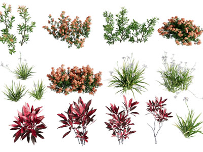 现代花草绿植