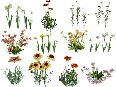 现代花草绿植