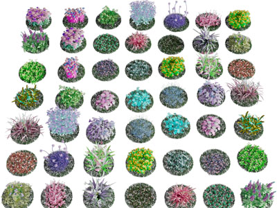 现代园林花坛花草绿植