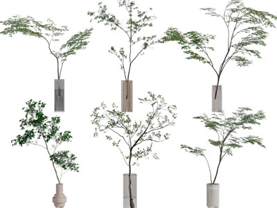 现代花瓶花卉