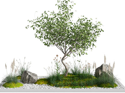 现代花草树木景观园艺小品