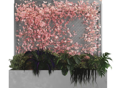 现代户外盆栽植物、藤蔓植物墙