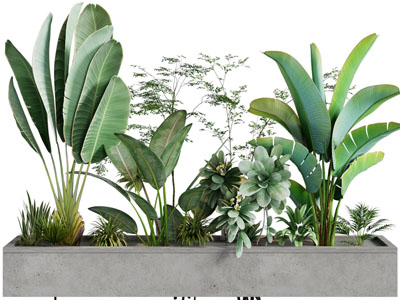 现代户外水泥花坛花草植物