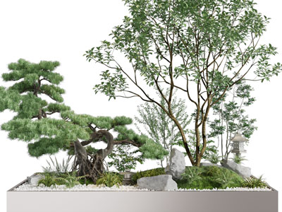 新中式松树、石头景观园艺小品