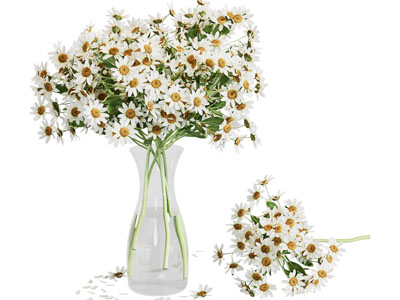 现代雏菊玻璃花瓶花卉